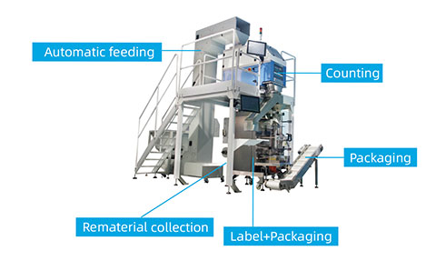 Fully automatic counting and packing machine