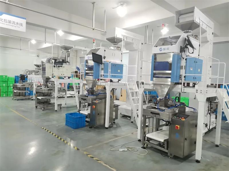 vision counting and packaging machine