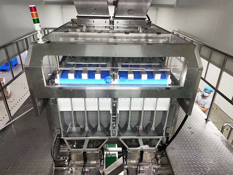 laundry pods vision counting and packaging machine