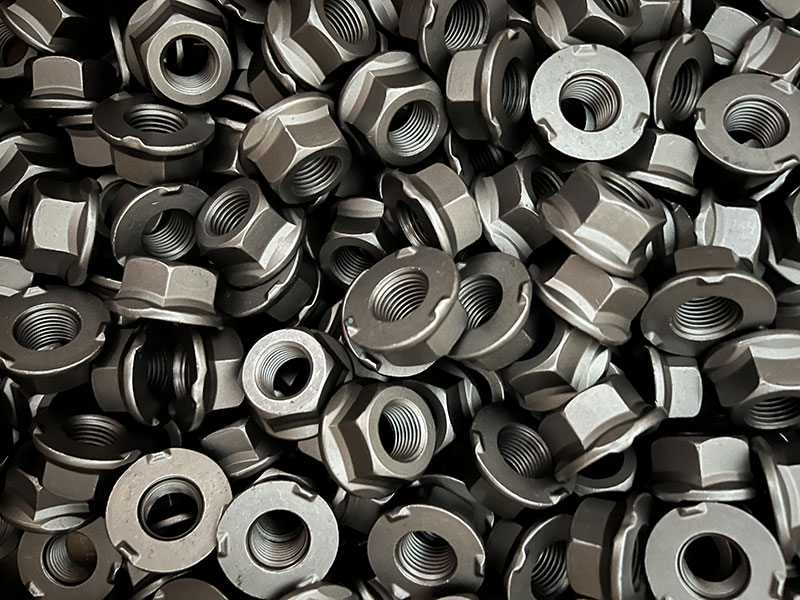 Oiled fasteners manufacture come to our factory for visit